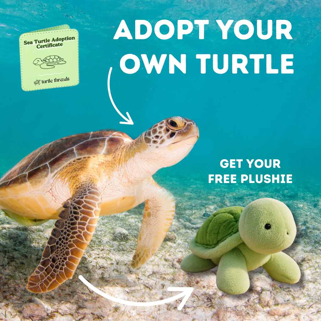 Turtle Adoption Plushie