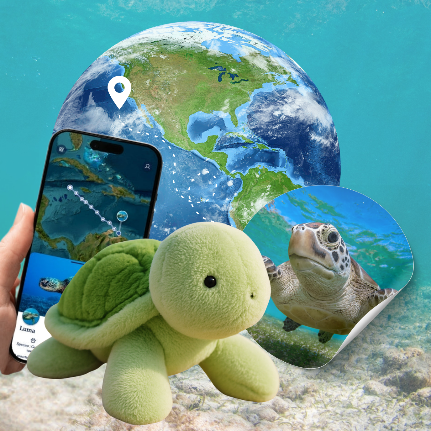 Turtle Adoption Plushie