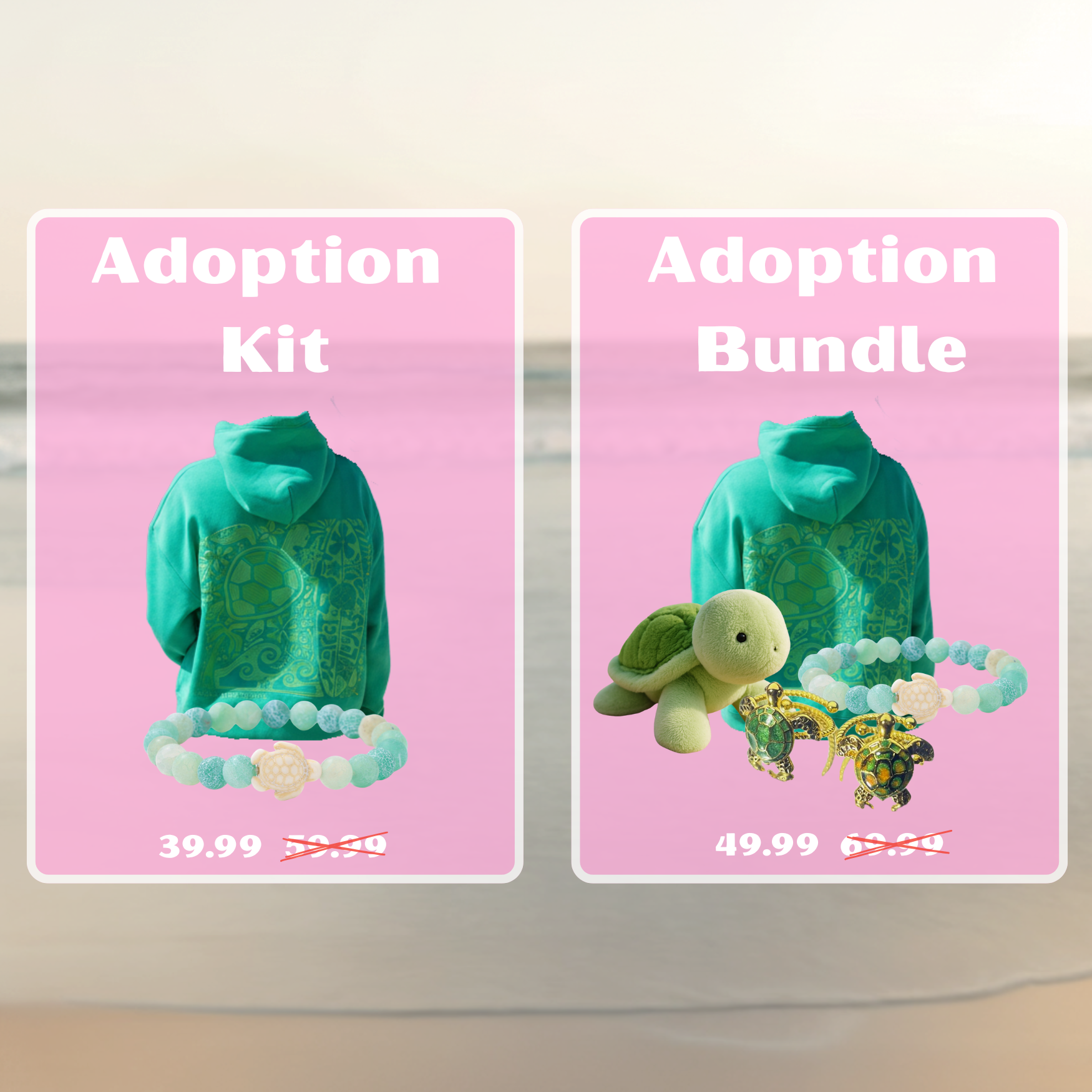 Turtle Adoption Hoodie