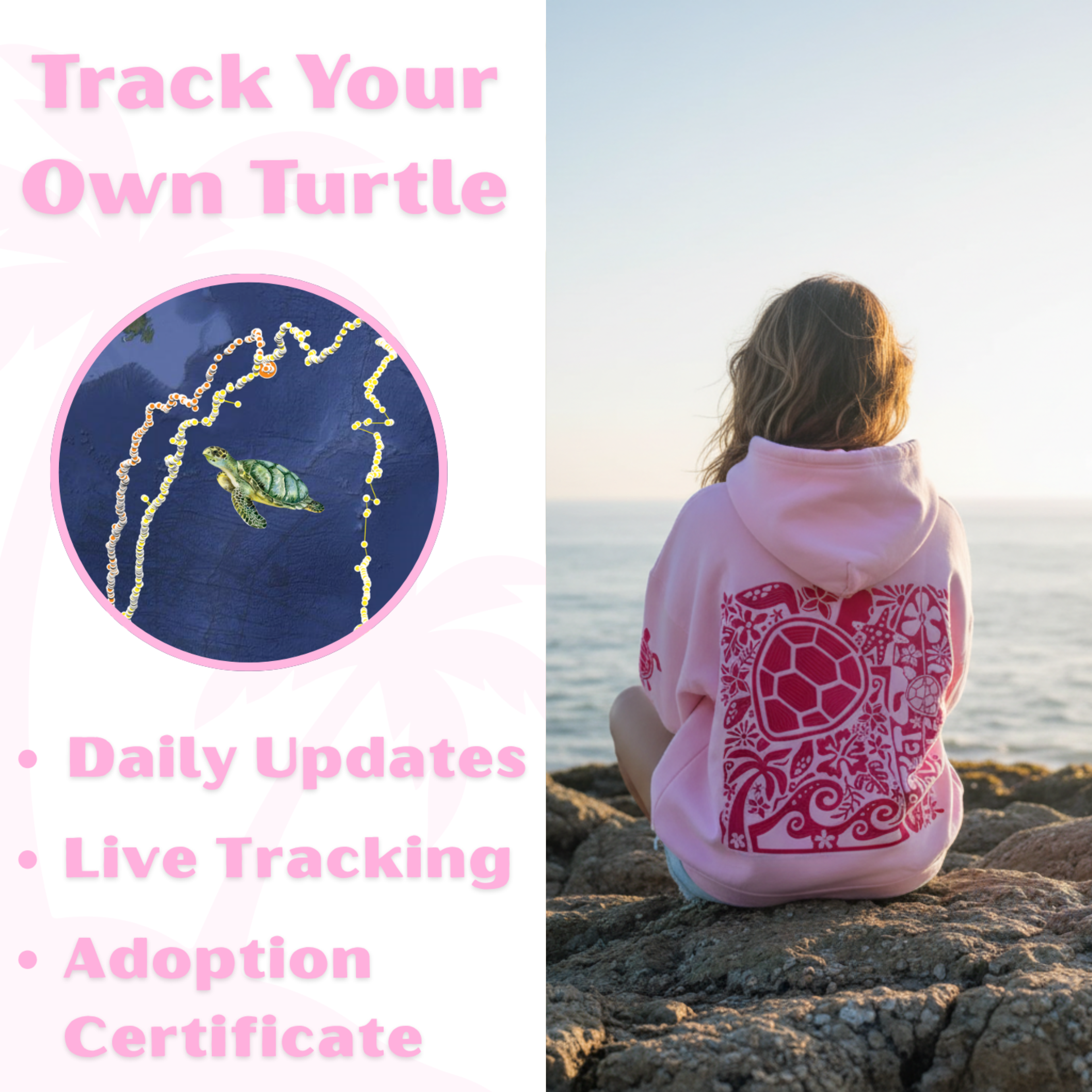 Turtle Adoption Hoodie